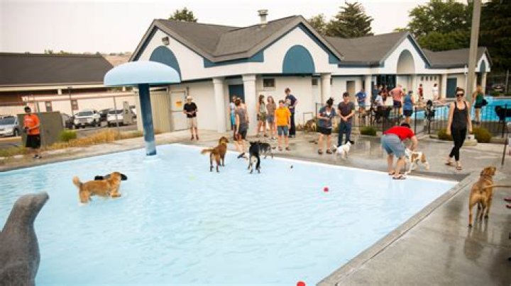 City of Boise to open four pools this summer, season passes available