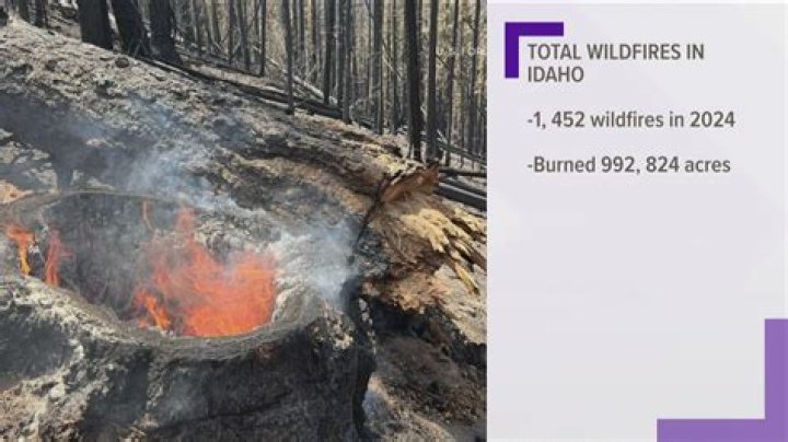 Idaho leads the U.S. in large wildfires, second in acres burned