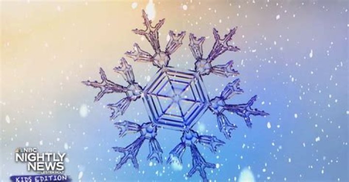 Kids Edition (Feb. 15, 2024)